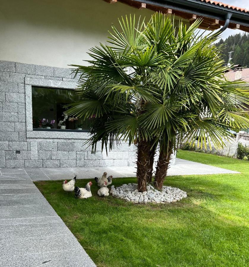 B&B Casa Il Sasso Pinzolo Kültér fotó