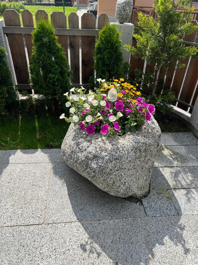 B&B Casa Il Sasso Pinzolo Kültér fotó